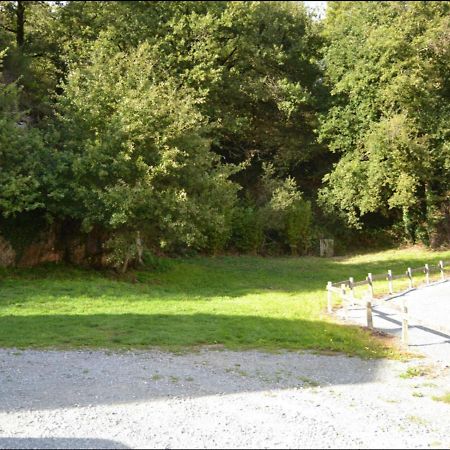 Demeure Du Castel Bed & Breakfast Les Chatelliers-Chateaumur Exterior photo